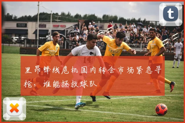 里昂锋线危机国内转会市场紧急寻枪，谁能拯救球队