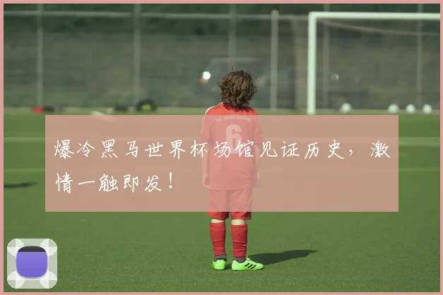 爆冷黑马世界杯场馆见证历史,激情一触即发!